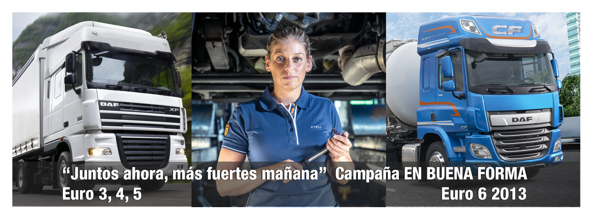 Campana_Buena_Forma_topo1