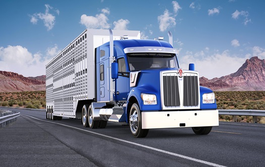Kenworth-W990-Truck